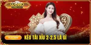 keo tai xiu 2 2.5 la gi thumb